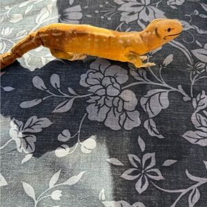 Rare Steiff Lizzy Lizard Plush